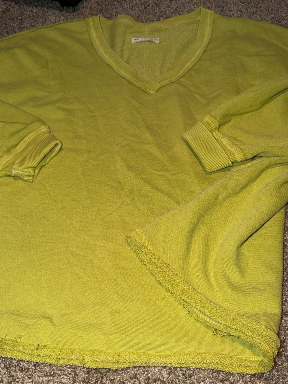 Free People / We The Free Venice v-neck oversized sweatshirt (M) - like new! - Picture 1 of 11